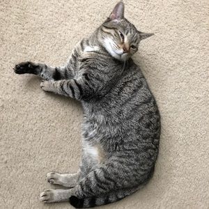 Meet your Posher, Dave